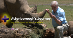Attenborough's Journey banner